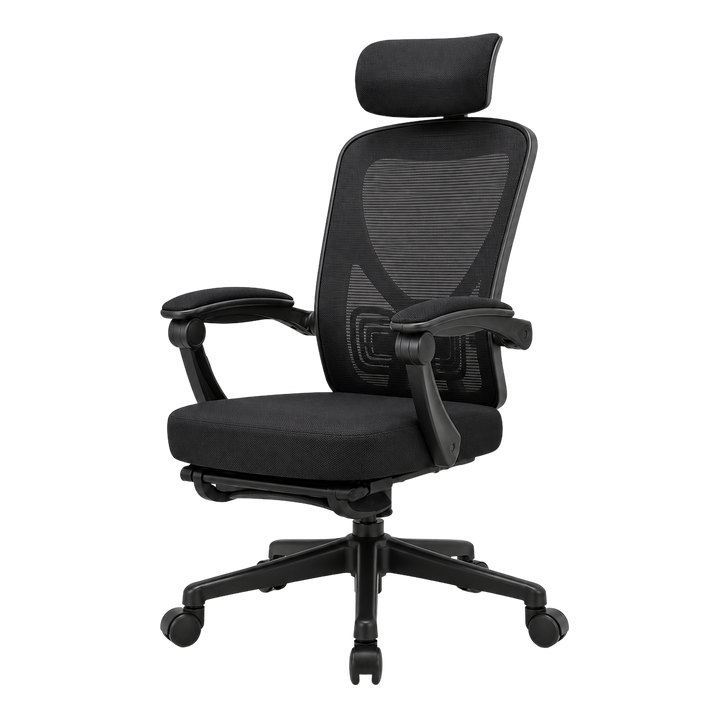 Mr Ergo | The Professional