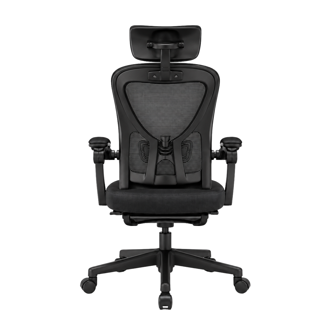 Mr Ergo | The Professional