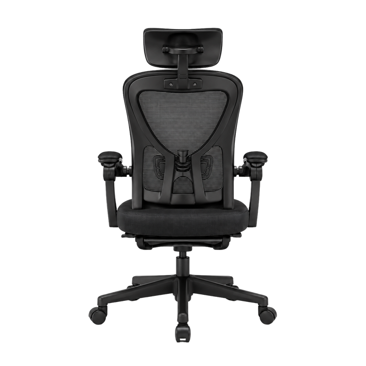 Mr Ergo | The Professional