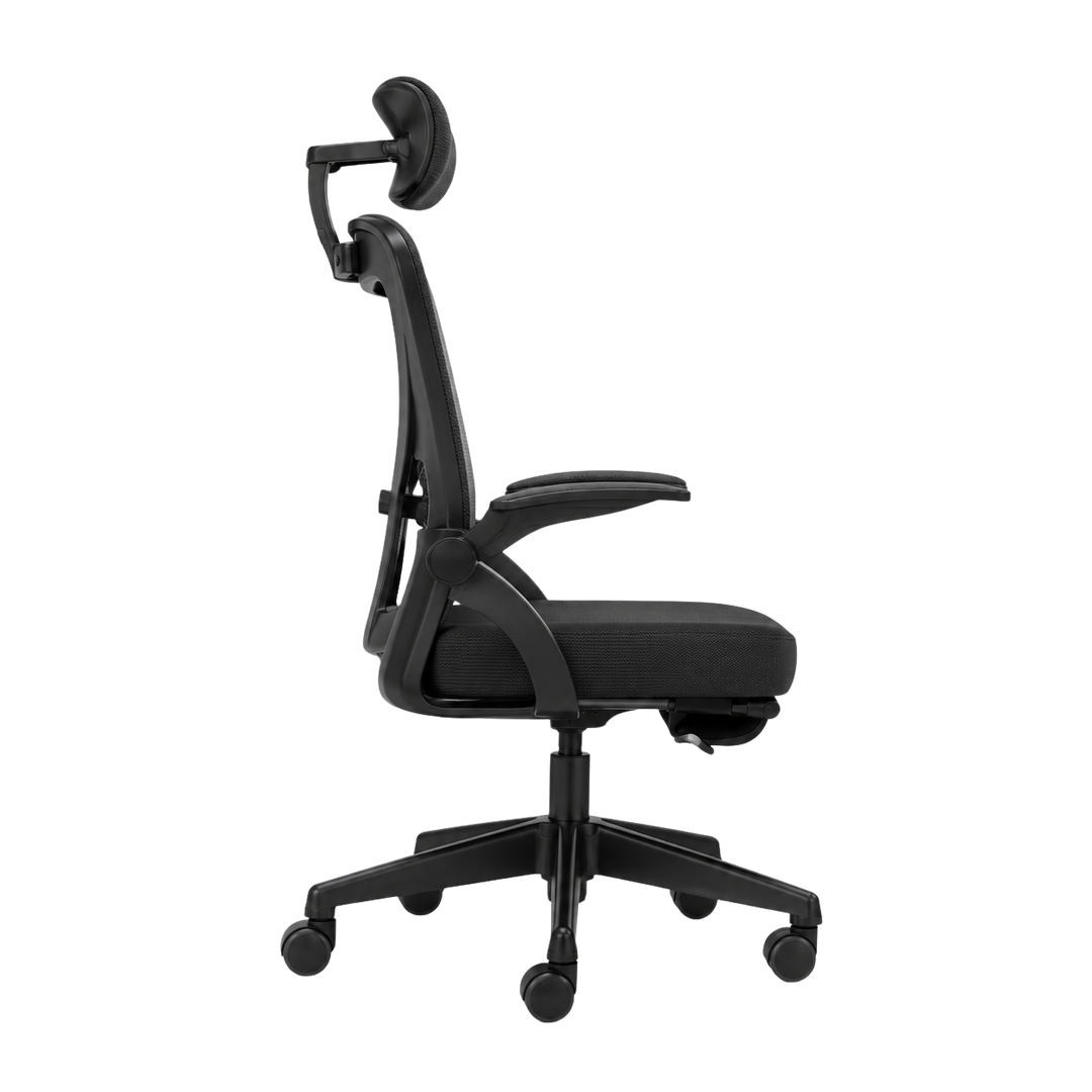 Mr Ergo | The Professional