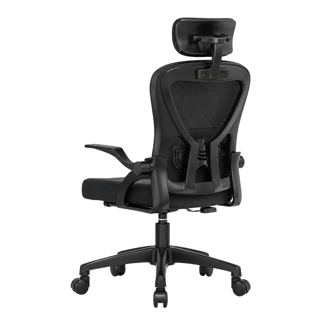 Mr Ergo | The Professional