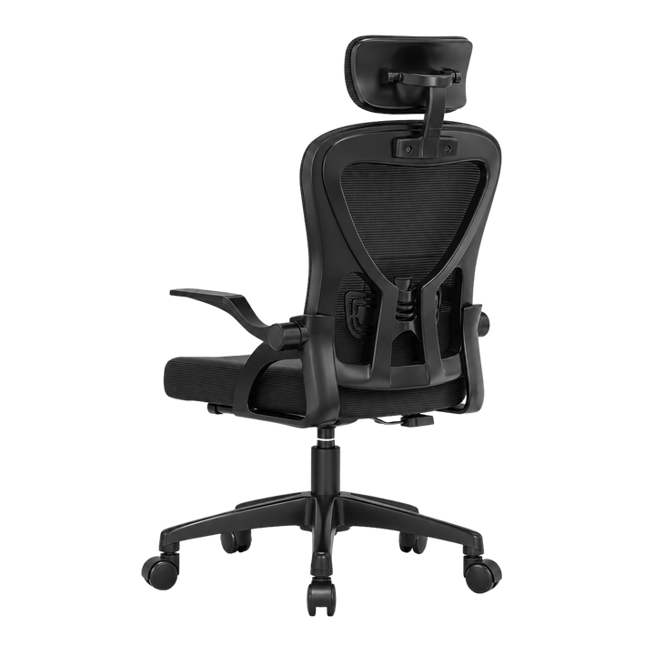 Mr Ergo | The Professional