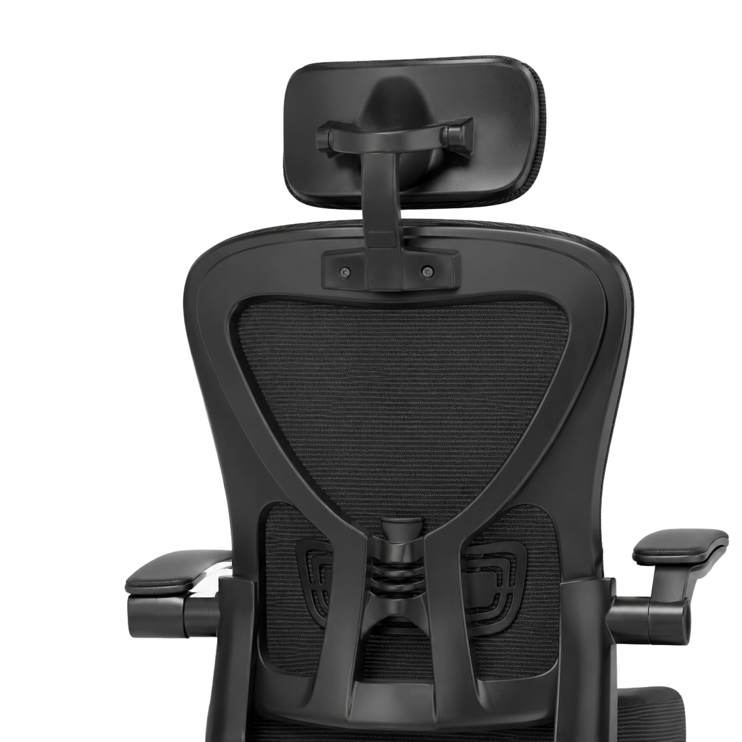Mr Ergo | The Professional