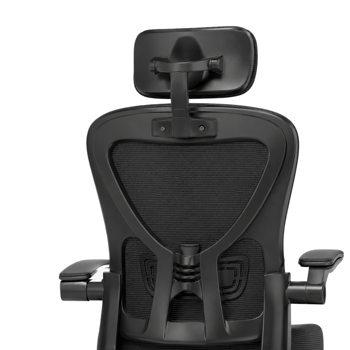 Mr Ergo | The Professional