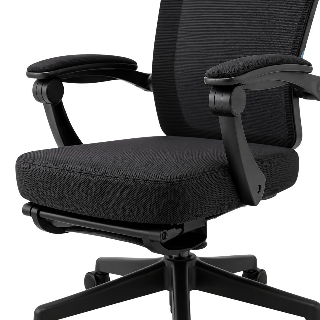 Mr Ergo | The Professional