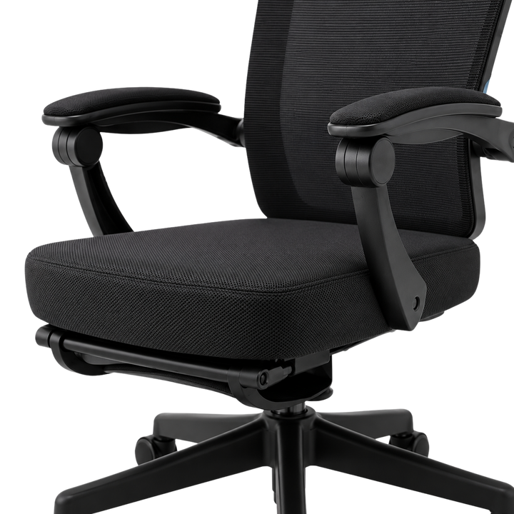 Mr Ergo | The Professional