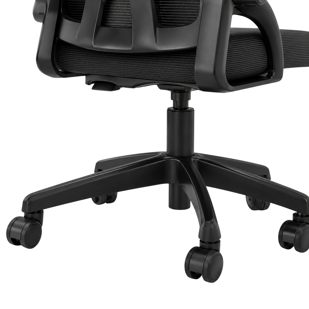 Mr Ergo | The Professional