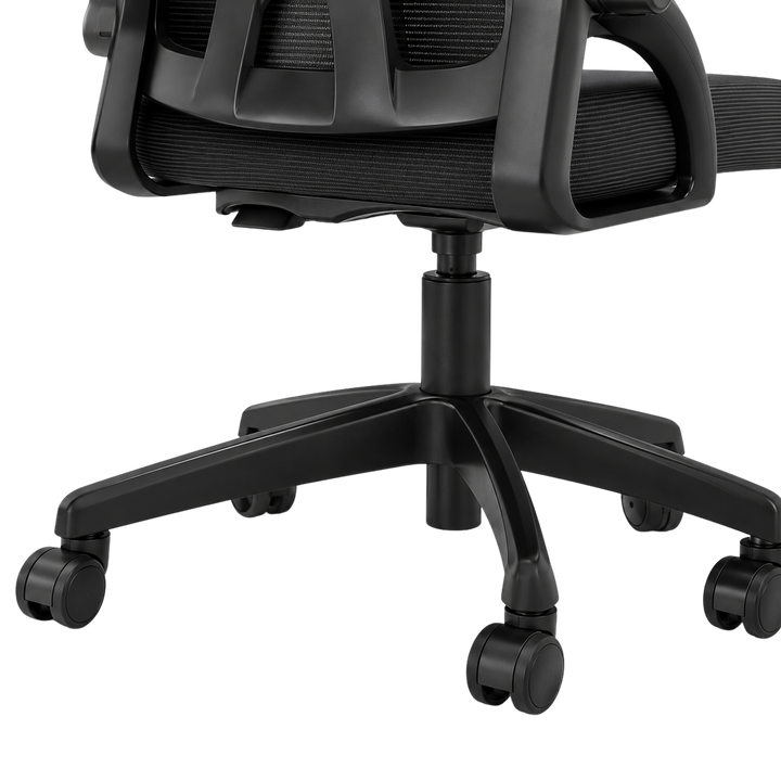 Mr Ergo | The Professional